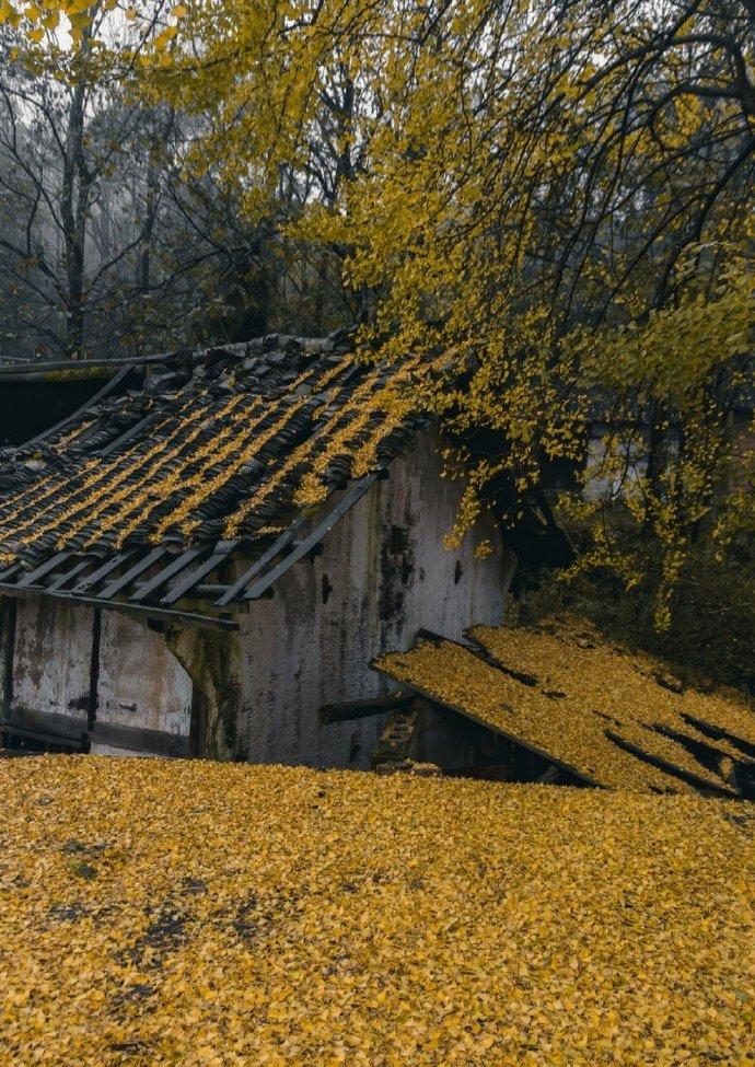 俞紫芝的十首诗词（有时俗事不称意，无限好山都上心）