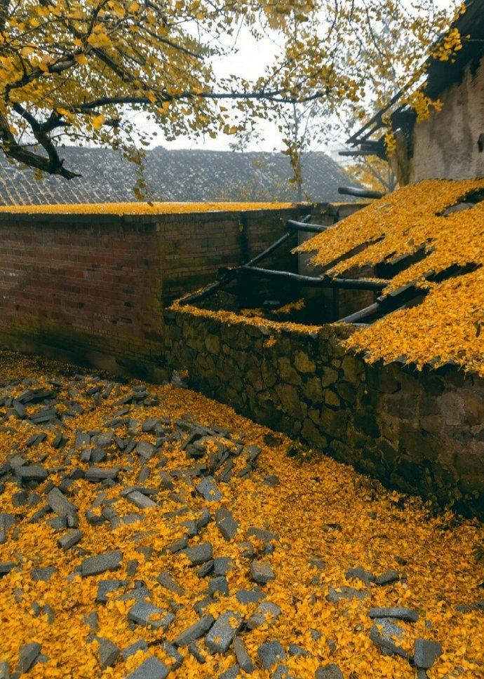 俞紫芝的十首诗词（有时俗事不称意，无限好山都上心）