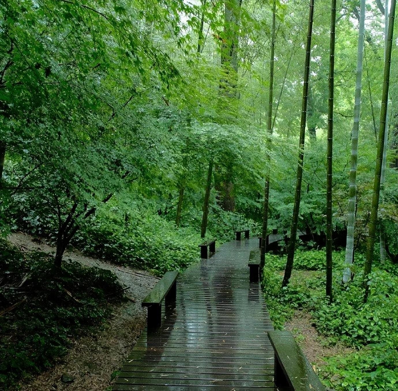 陈尧佐的十首经典诗词（千里好山云乍敛，一楼明月雨初晴）