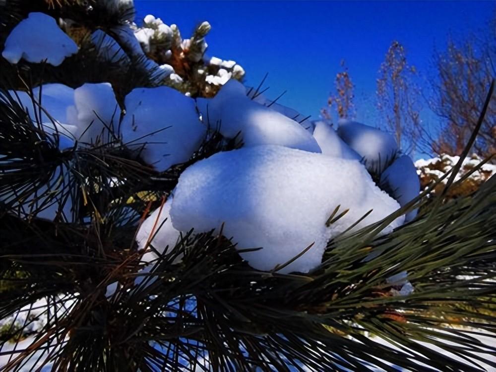 晨起开门雪满山，雪晴云淡日光寒（十五首关于雪后的诗词）