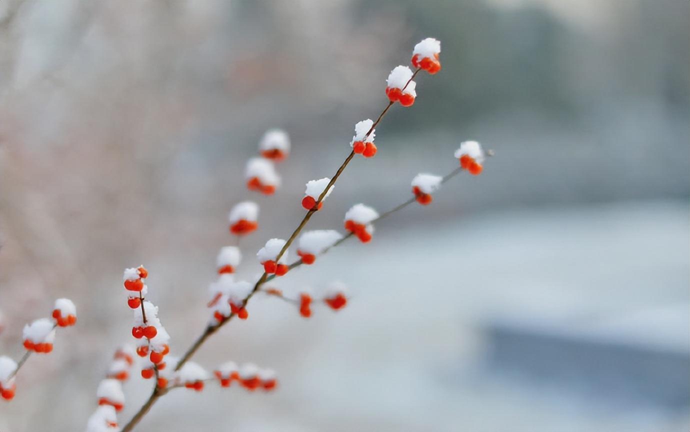 叶绍翁的十首经典诗词（春色满园关不住，一枝红杏出墙来）