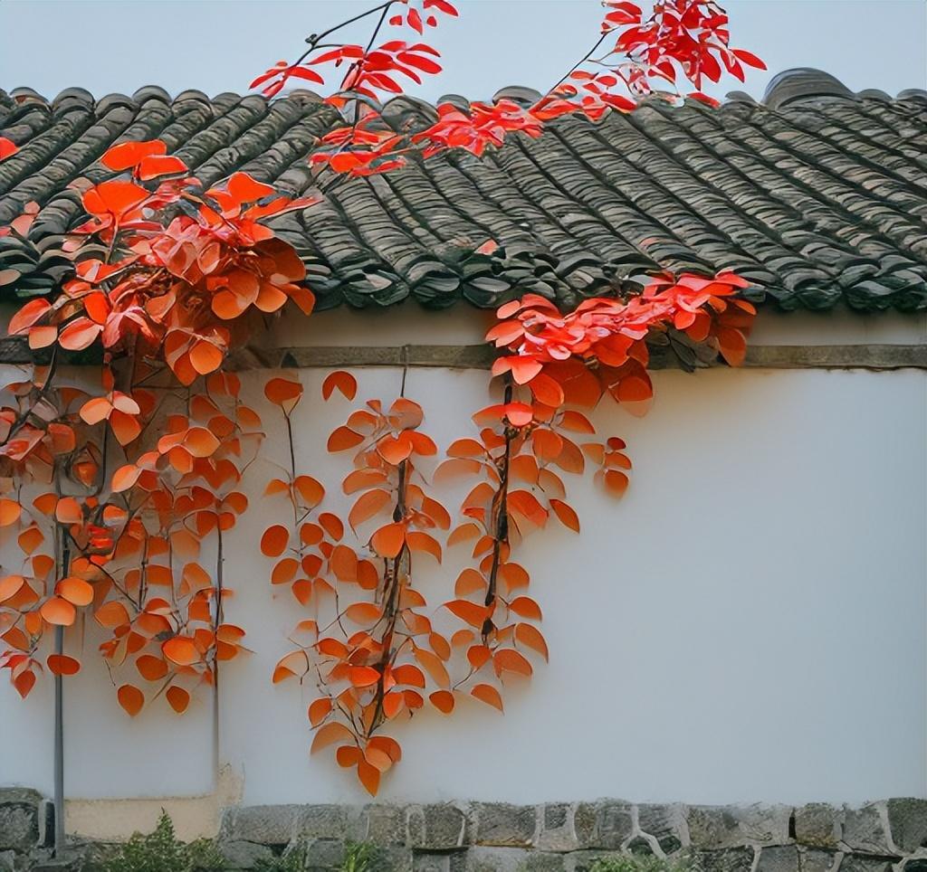 李师中的十首经典诗词（大抵无心自无累，亦如君子所居安）