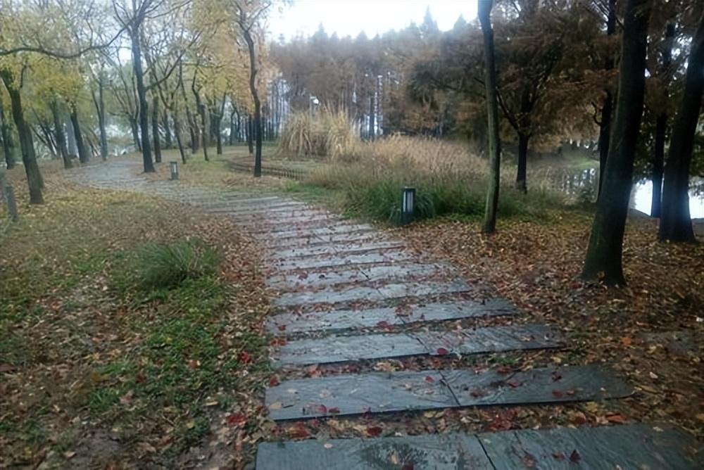 冬雨经典诗词大全（有关冬雨的十首诗词）