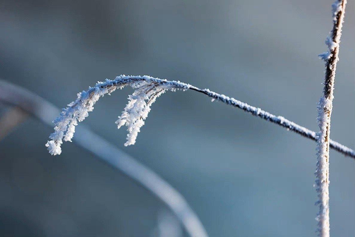 郑谷的二十首诗词绝句（山门握手无他语，只约今冬看雪来）