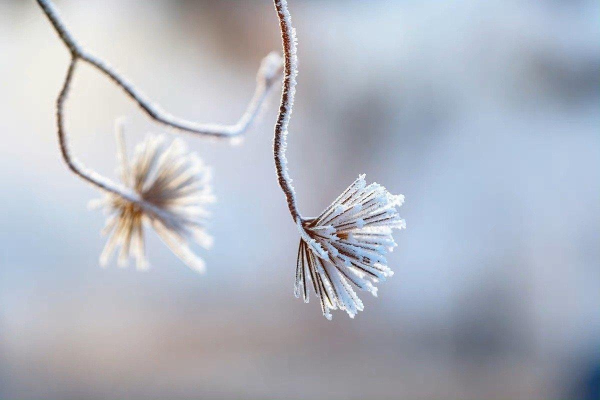 郑谷的二十首诗词绝句（山门握手无他语，只约今冬看雪来）