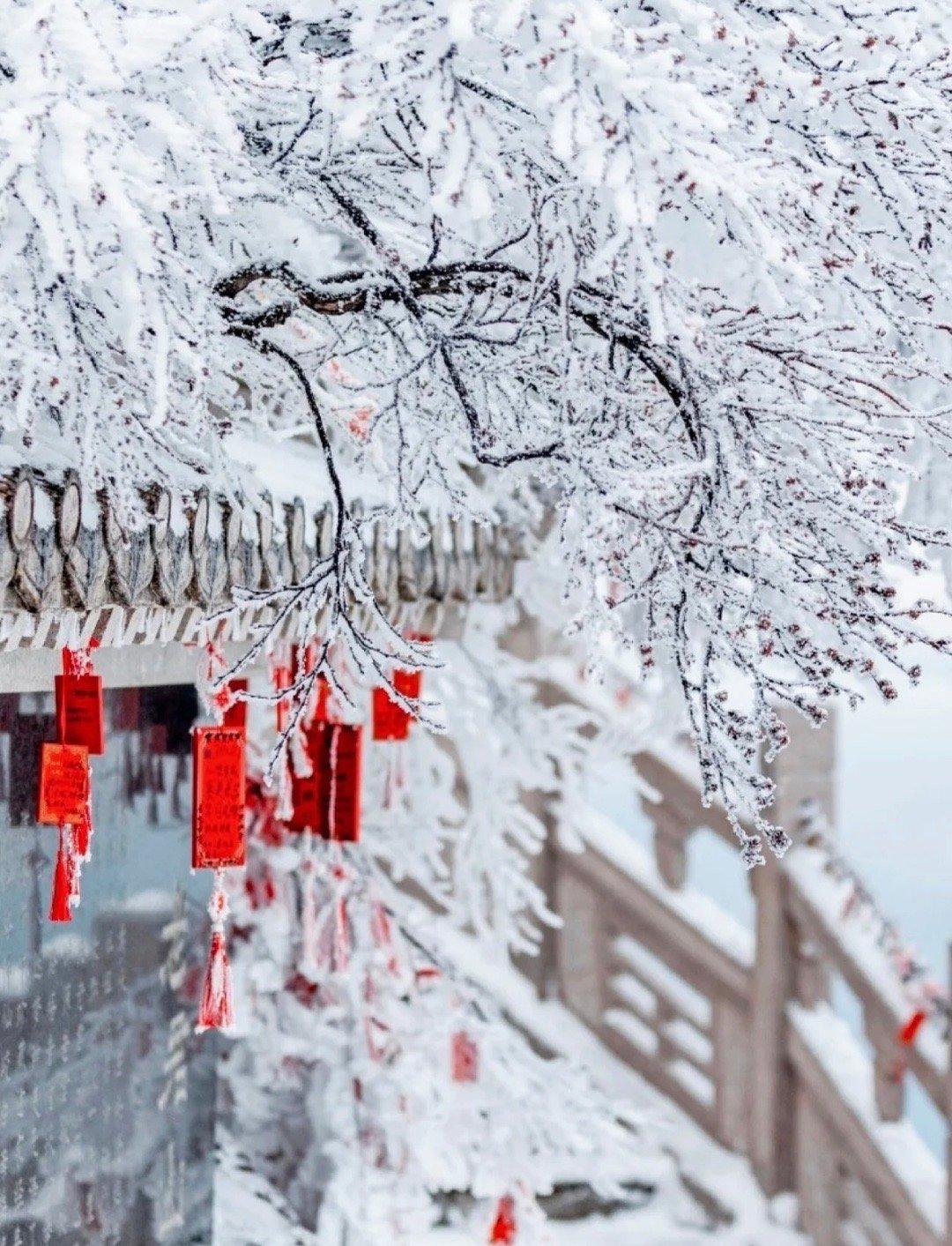 郑谷的二十首诗词绝句（山门握手无他语，只约今冬看雪来）