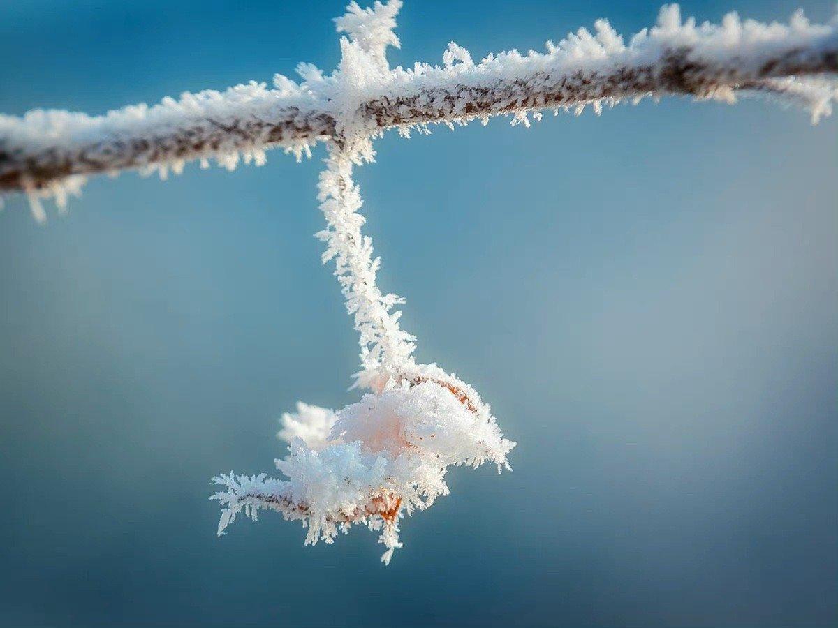 郑谷的二十首诗词绝句（山门握手无他语，只约今冬看雪来）