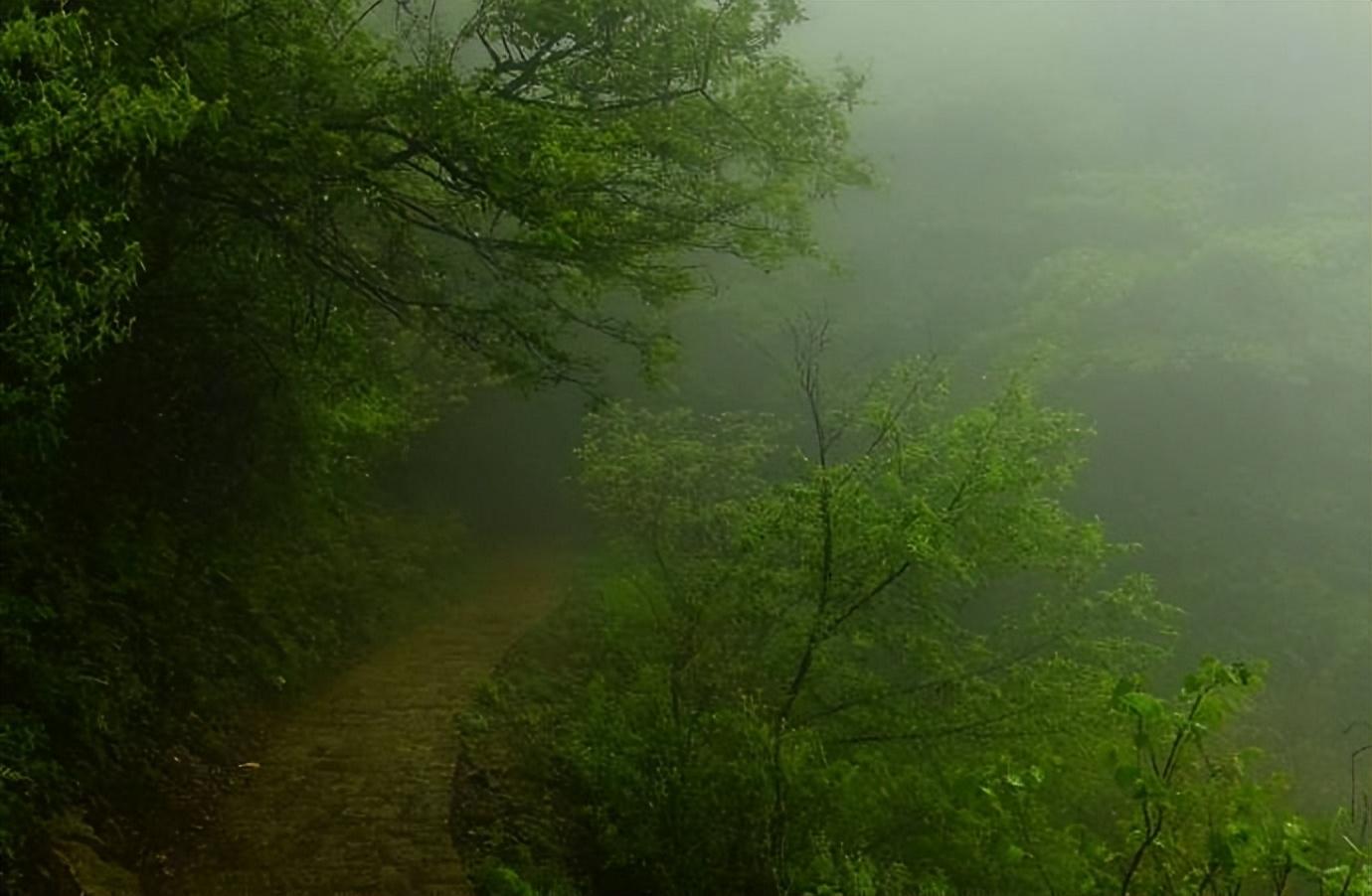 姚宽的十首诗词经典（酒面扑春风，泪眼零秋雨）