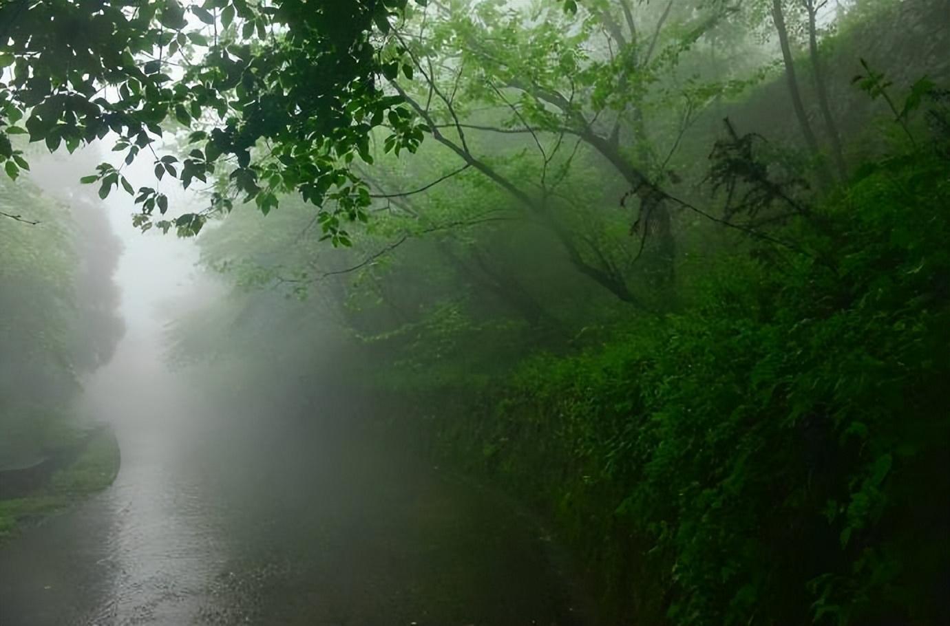 姚宽的十首诗词经典（酒面扑春风，泪眼零秋雨）