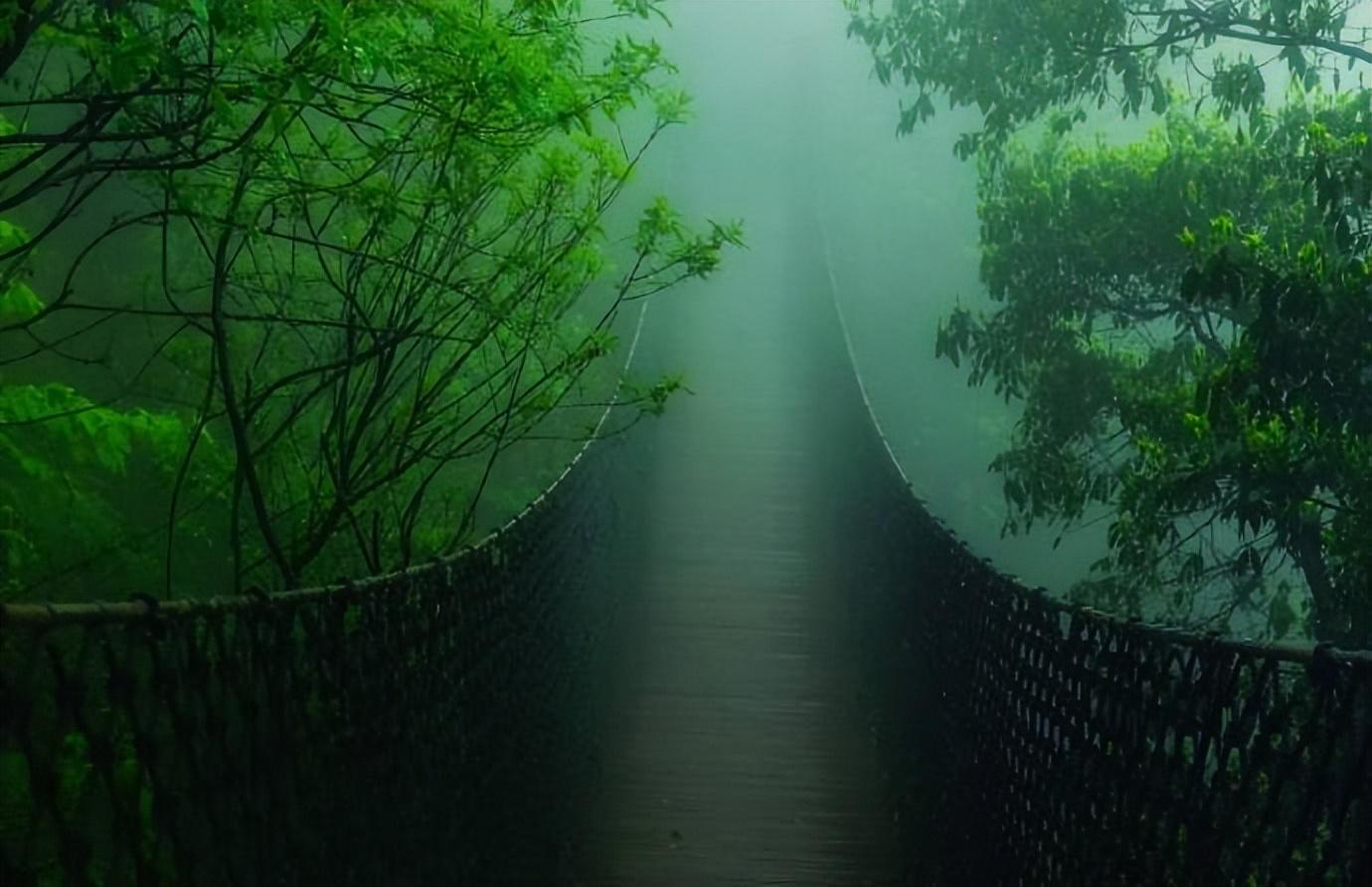 姚宽的十首诗词经典（酒面扑春风，泪眼零秋雨）