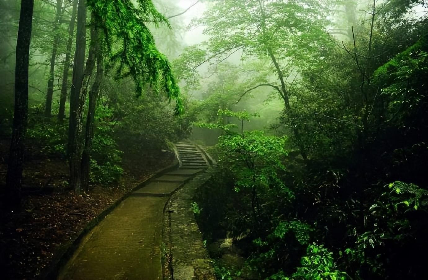 姚宽的十首诗词经典（酒面扑春风，泪眼零秋雨）