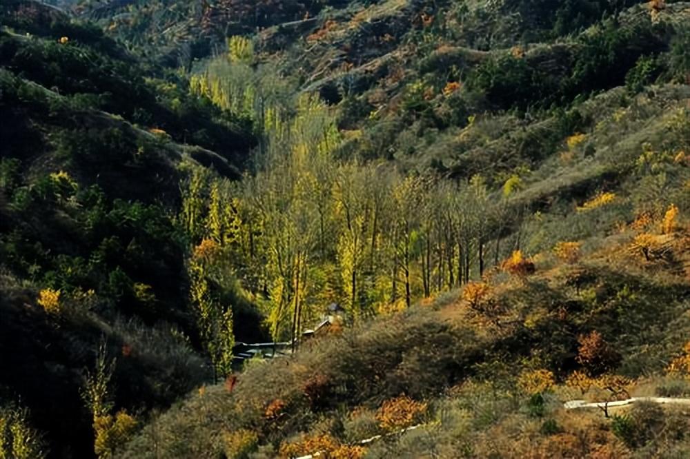 关于秋日山行的十五首诗词赏析（停车坐爱枫林晚，霜叶红于二月花）