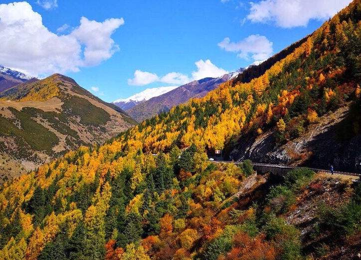 关于秋日山行的十五首诗词赏析（停车坐爱枫林晚，霜叶红于二月花）