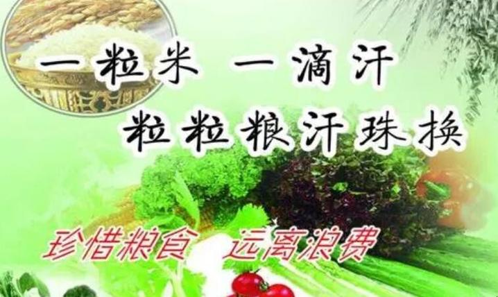 爱惜粮食的名人名言大全（珍惜粮食，爱惜生命）