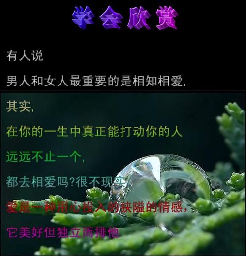 关于爱情我输了的句子（我输给了爱情）