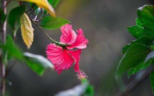 有关爱情感天动地的句子的句子怎么写（爱情感天动地——唯美短句探寻）