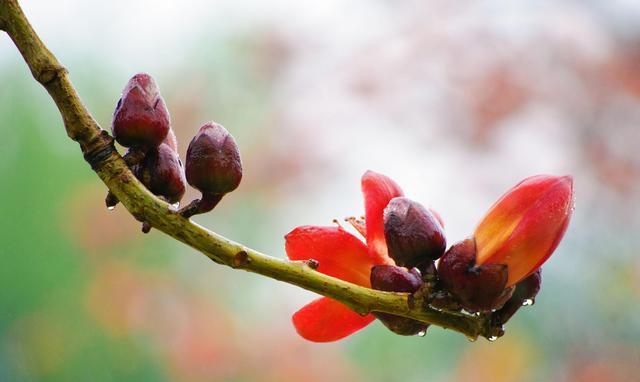 有关爱情变化无常的句子的短句有哪些（浮沉多变的情感）