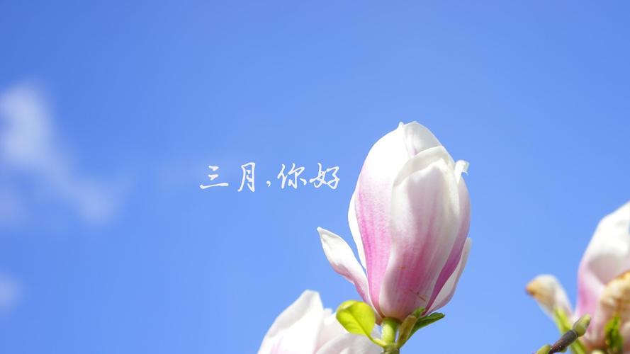 6月的第一天新的开始说说（初始的柔软，初夏的浪漫）