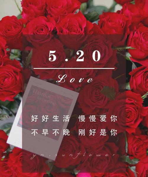 520网络情人节文案（一场浪漫的表白）