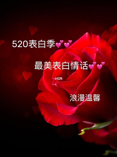 520表白情话说说大全（寻觅爱情的美好）