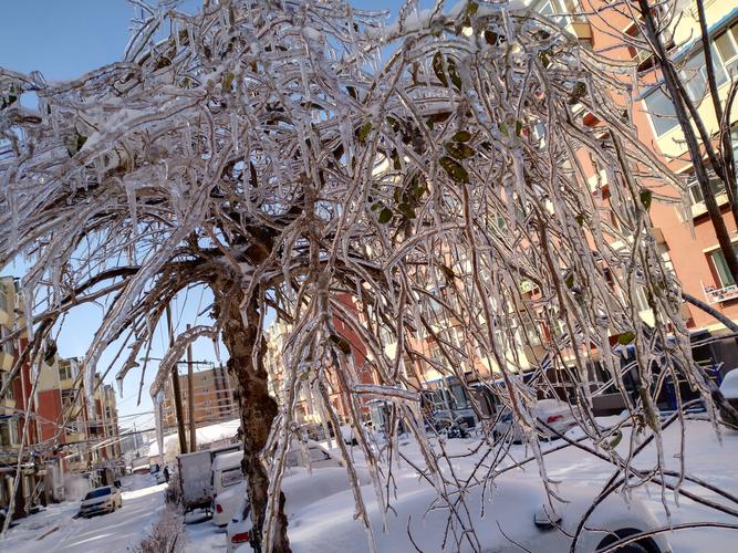 2020年冬天第一场雪的文案（今年冬天第一场雪朋友圈好句）