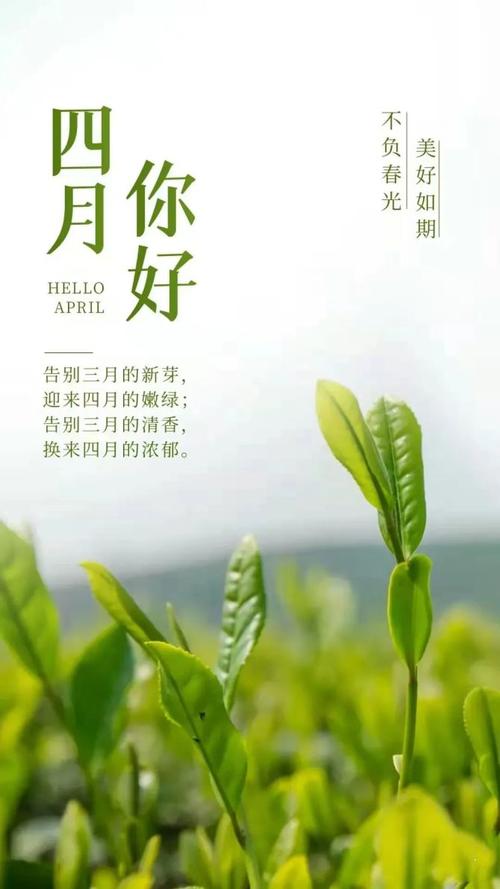 3月再见,4月你好说说（春意盎然，美好寄语）