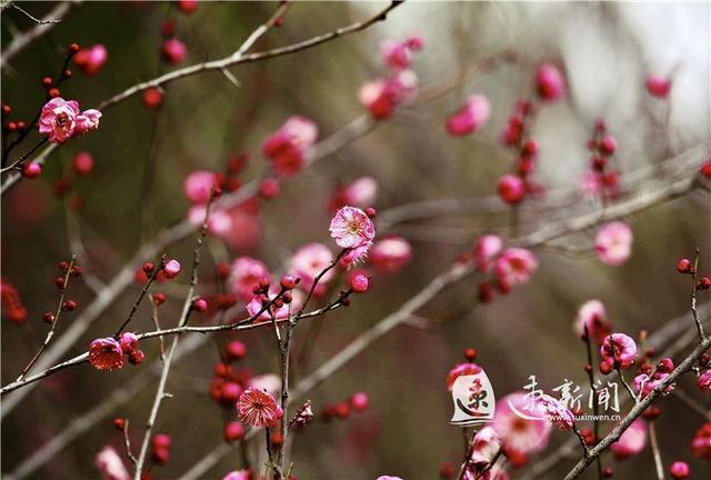 2月3号立春的句子（一切新开始，春风十里）