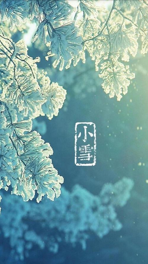 小雪节气养生语录（小雪养生祝福语短信）