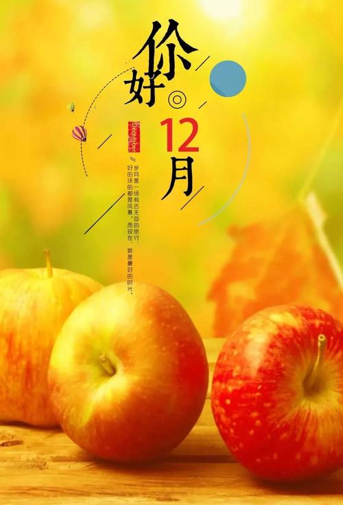 202o最后一天说说（2023的最后一天，未来与过去在这一天交汇。）