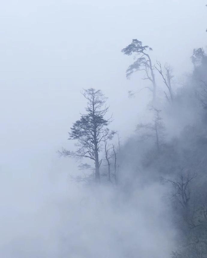 李白的唯美秋天经典诗词（且就洞庭赊月色，将船买酒白云边）