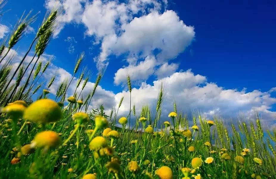 神龙十万开鳞甲，送遍人间夜雨声（十五首夏末诗词唯美）