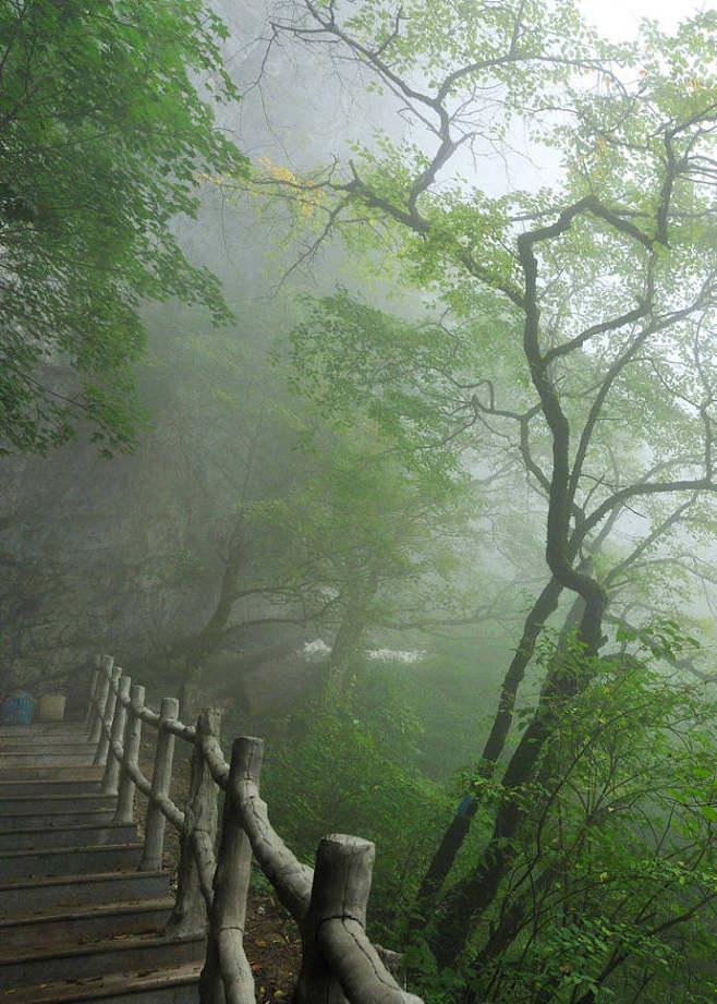 吴沆的十首诗词经典（似惜雨晴天恰好，真忘名利日长闲）