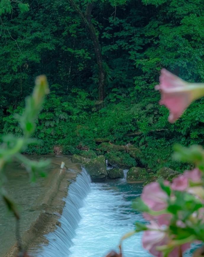 陈镒的十首古诗经典（而今不作功名念，容我逍遥山水间）