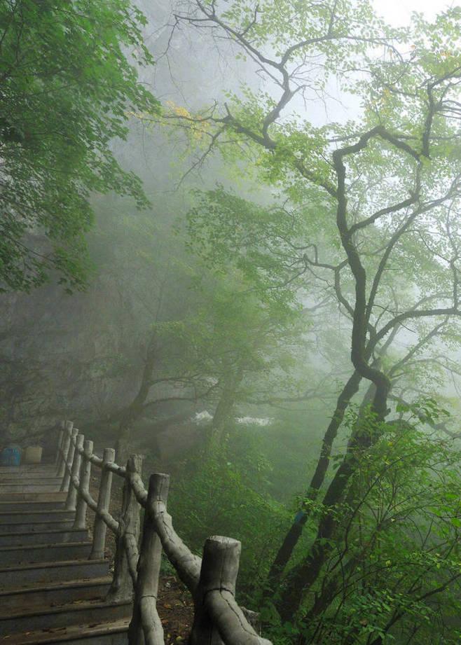 姜宸英的十首诗词经典（剩有垂杨吹不断，丝丝绾恨上高楼）