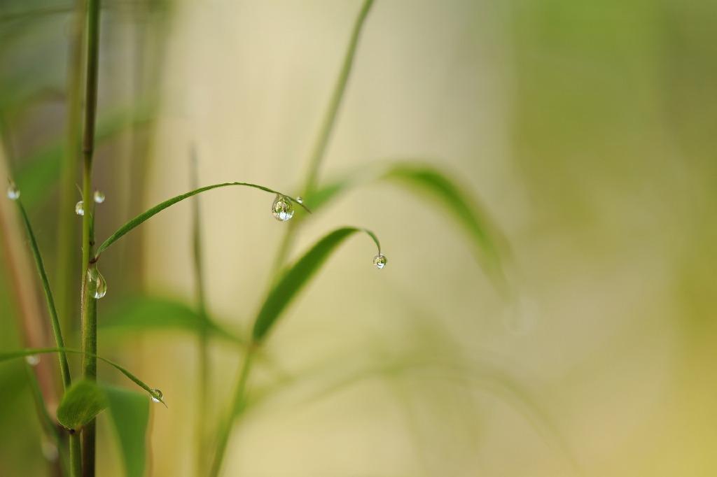 张栻的十首诗词经典（律回岁晚冰霜少，春到人间草木知）