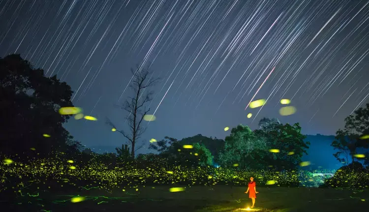 范廷铨的十五首诗词经典（星斗无光虫唧唧，流萤如雨稻花香）