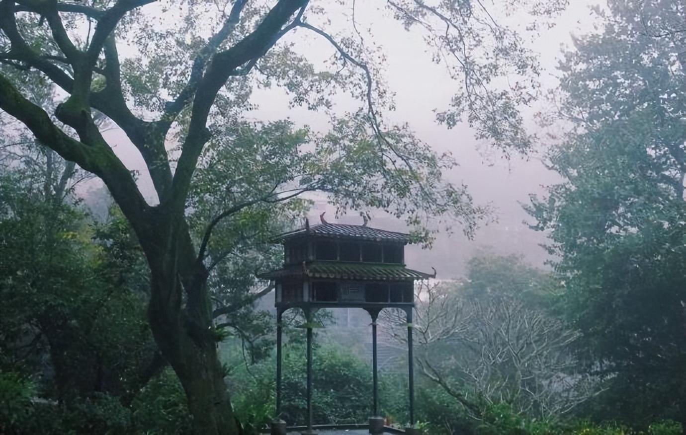 黄溍的十首诗词经典（碧山过雨晴逾好，绿树无风晚自凉）