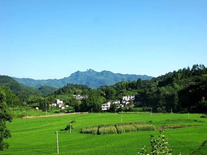 马蹄踏水乱明霞，醉袖迎风受落花（十二首山家诗词经典）