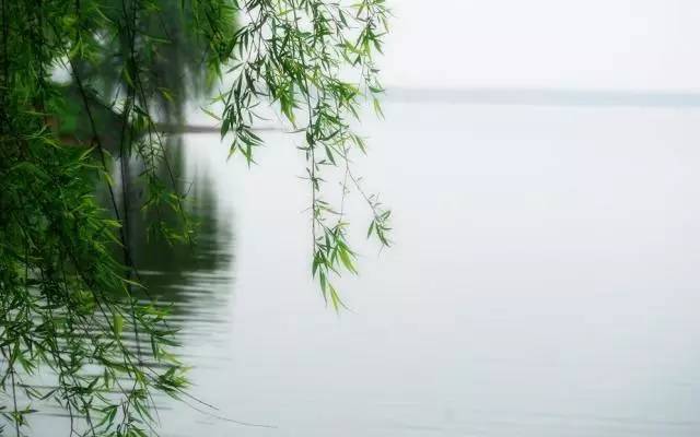 关于二月的十首诗词唯美（草长莺飞，微雨海棠）