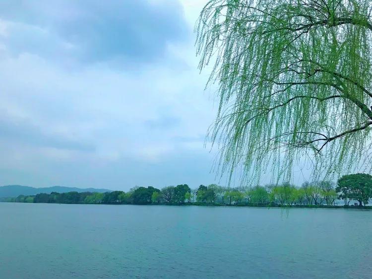 关于二月的十首诗词唯美（草长莺飞，微雨海棠）