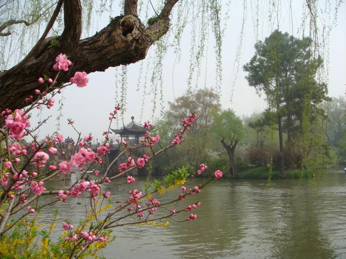 关于二月的十首诗词唯美（草长莺飞，微雨海棠）