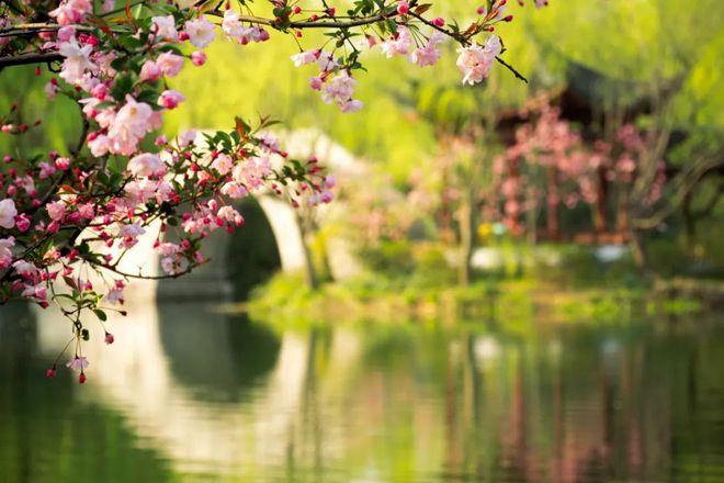 海棠如醉，桃花欲暖（15首《春日游》的诗词）