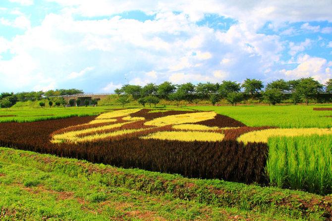 田舍唯美诗词大全（十五首关于田舍的诗词）