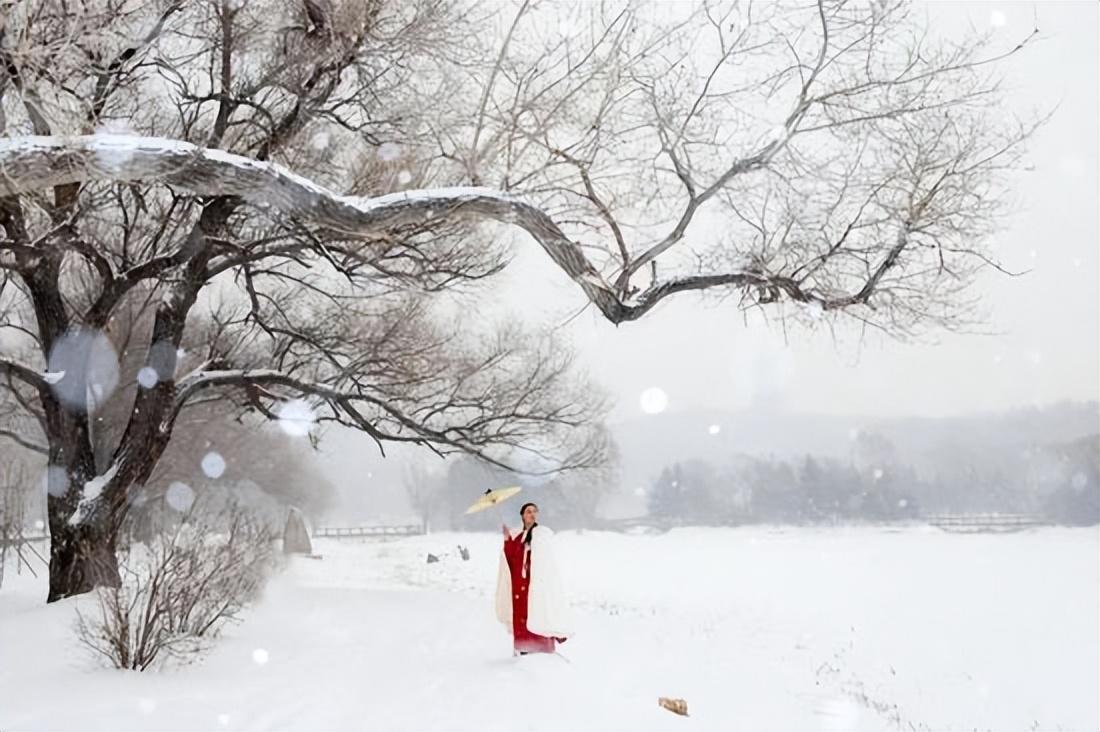 关于听雪的十首诗词（闲坐对炉常入梦，无眠听雪忽成诗）