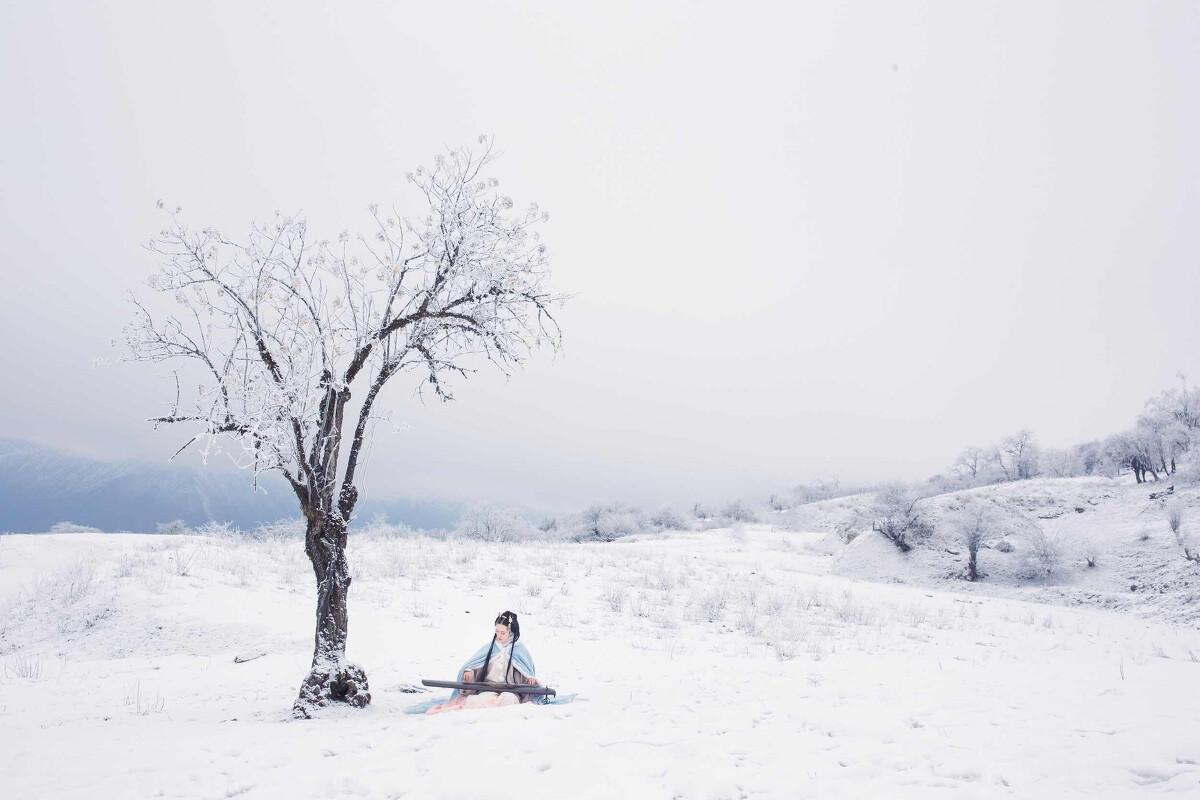 关于听雪的十首诗词（闲坐对炉常入梦，无眠听雪忽成诗）