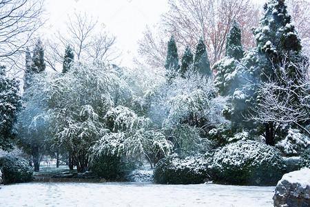 晨起开门雪满山，雪晴云淡日光寒（十五首雪后景色的诗词）