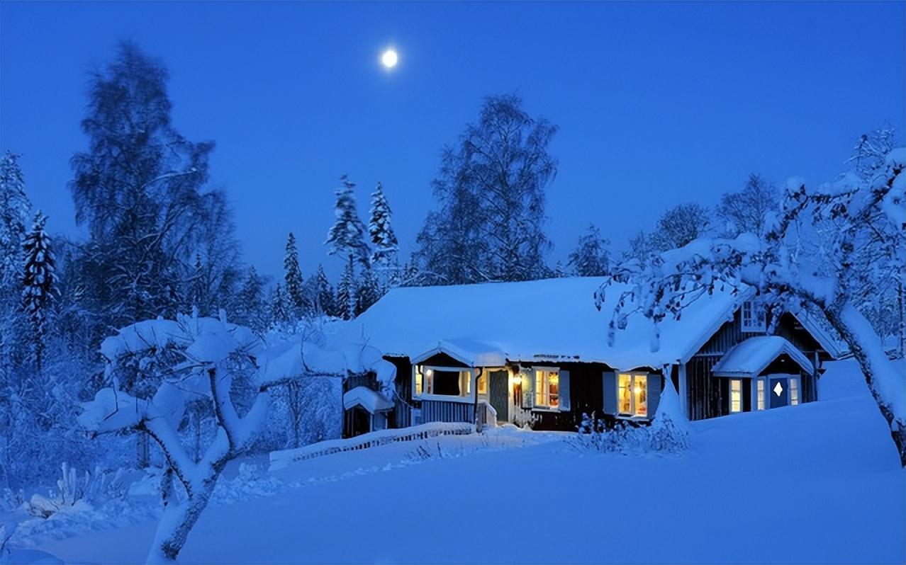 夜雪经典诗词有哪些（十首夜雪诗词优美）