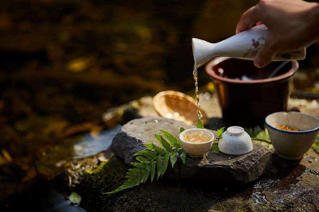 轻雷惊破春，韶光遍人间（10首惊蛰诗词优美）