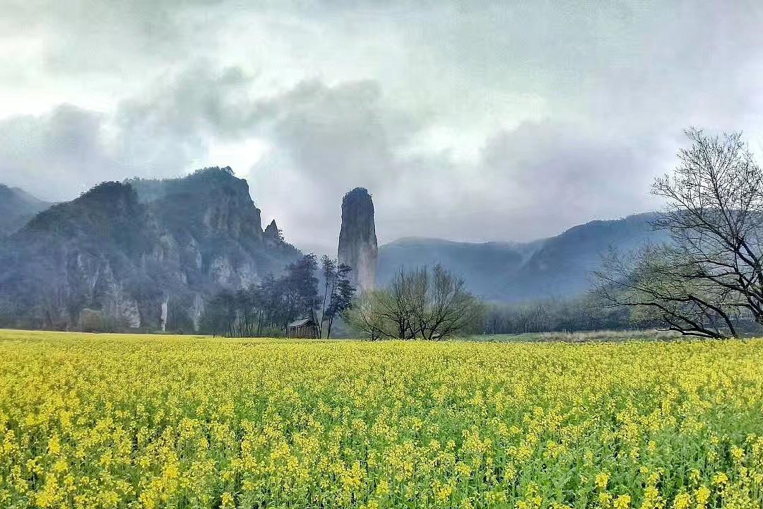 轻雷惊破春，韶光遍人间（10首惊蛰诗词优美）