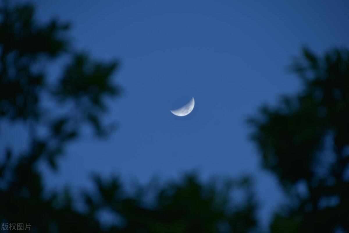 夜色诗词名句摘抄（10首写夜色的古诗词）